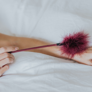 Herramienta de Plumas – Púrpura