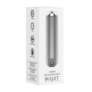 Bullet recargable de 10 velocidades – Plata