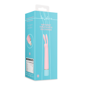 Mini Rabbit Vibrator with USB Charger – Cherry Chiffon
